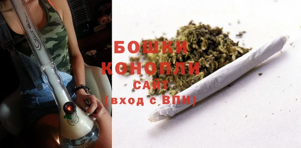 ешки Алзамай