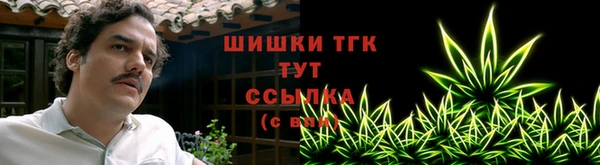 ешки Алзамай
